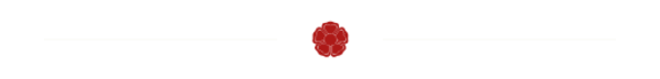rose-divider.png